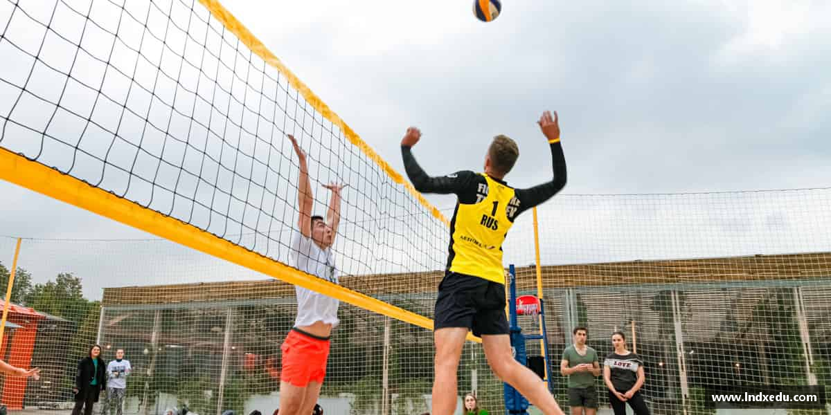 认识完美体育官方网站